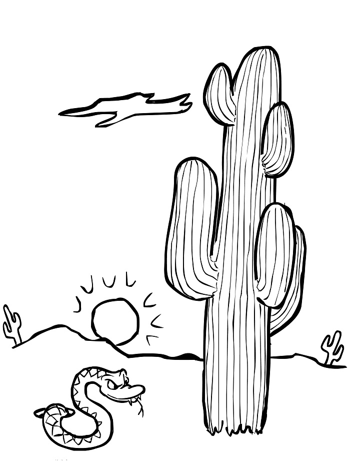 Desert Snake Coloring Game Desert Snake
