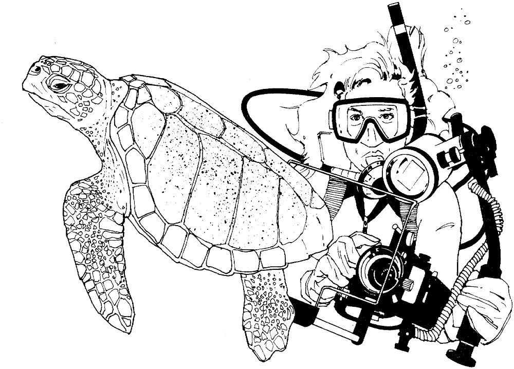 Diver and Sea Turtle Coloring Game Diver and Sea Turtle