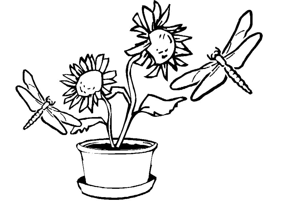 Dragonflies and Flowers Coloring Game Dragonflies and Flowers