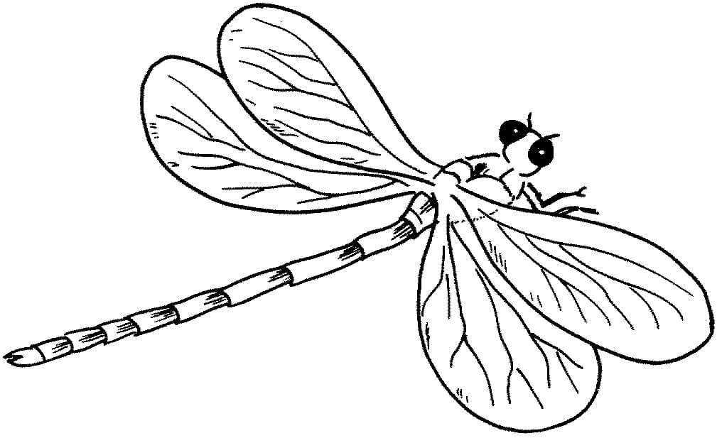 Dragonfly Printable Coloring Game Dragonfly Printable