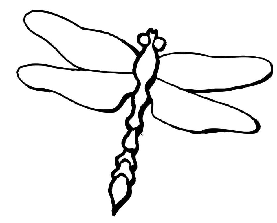 Dragonfly for Kid Coloring Game Dragonfly for Kid