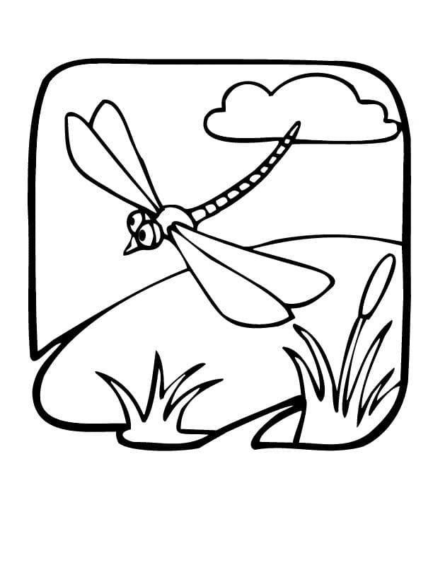 Dragonfly is Flying Coloring Game Dragonfly is Flying