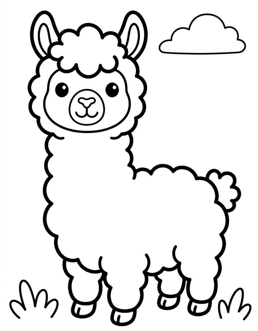 Drawing Alpaca Basic