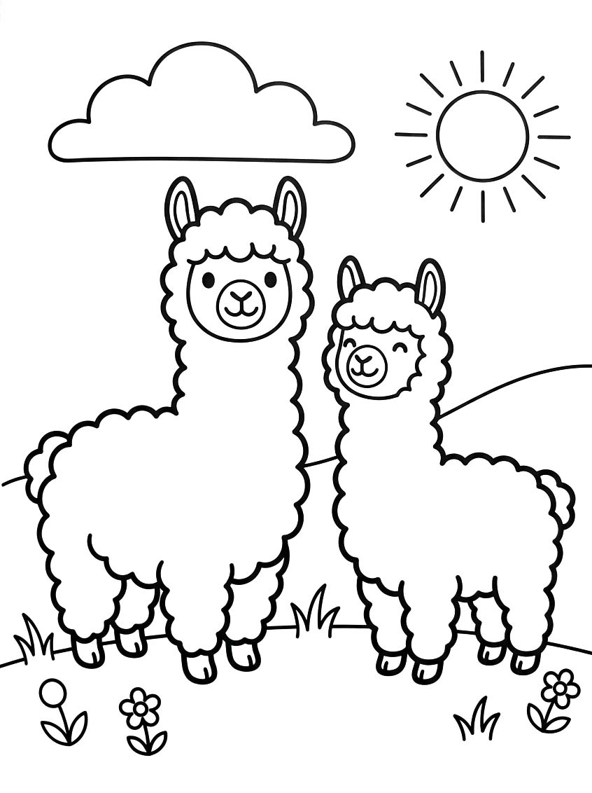 Drawing Alpaca Printable