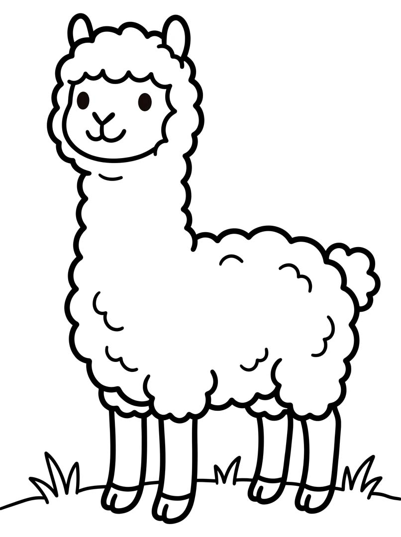 Drawing Alpaca