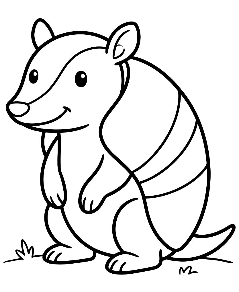 Drawing Armadillo Basic