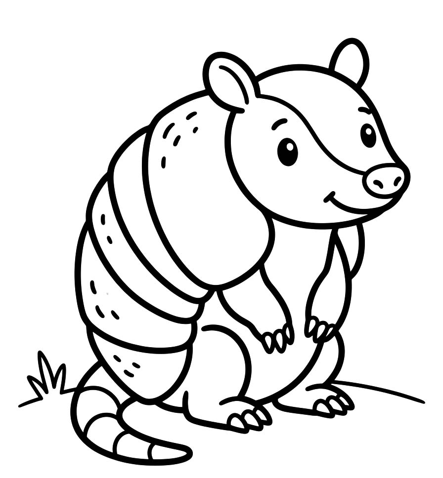 Drawing Armadillo