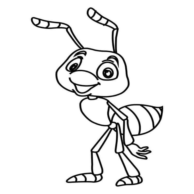Drawing Baby Animal Ant