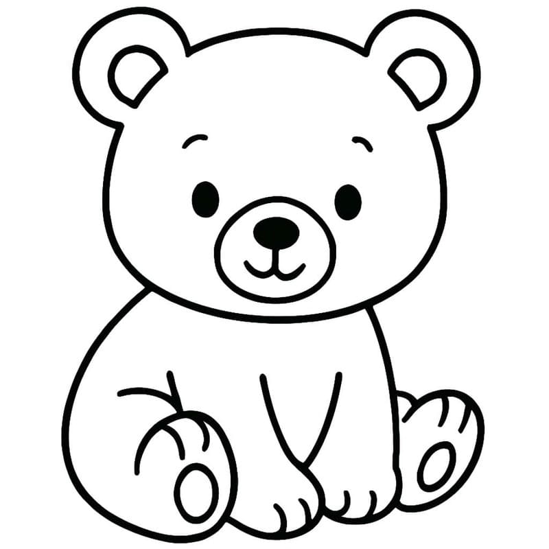 Drawing Baby Animal Bear