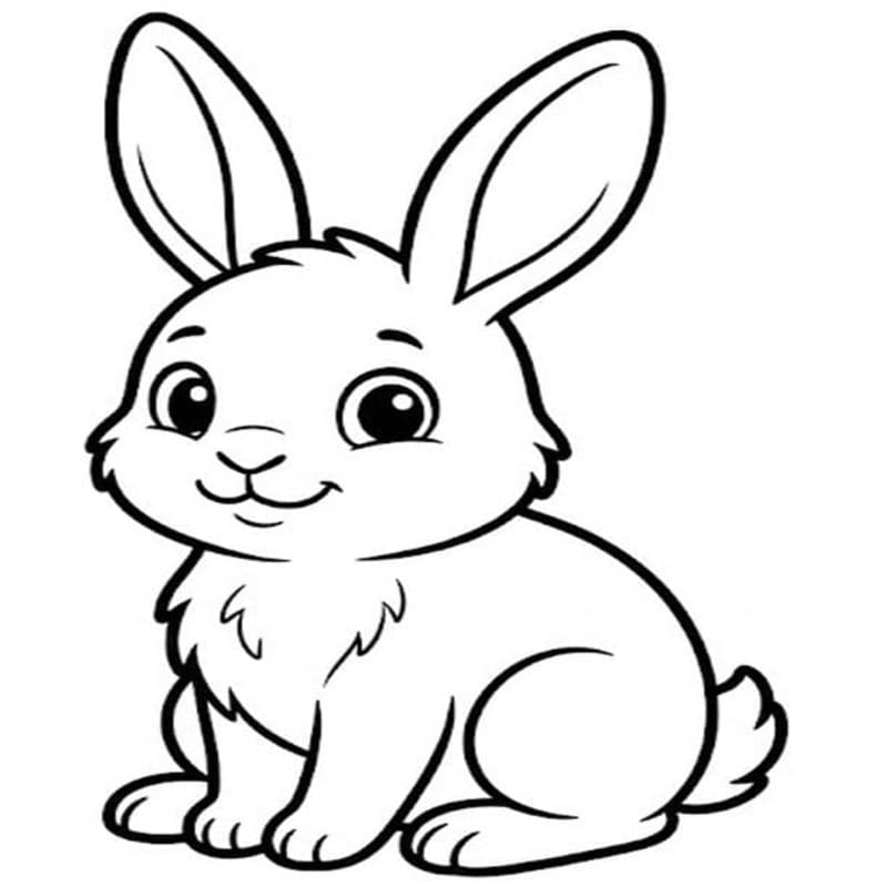 Drawing Baby Animal Bunny