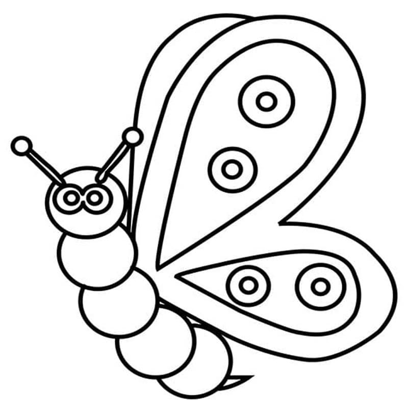 Drawing Baby Animal Butterfly