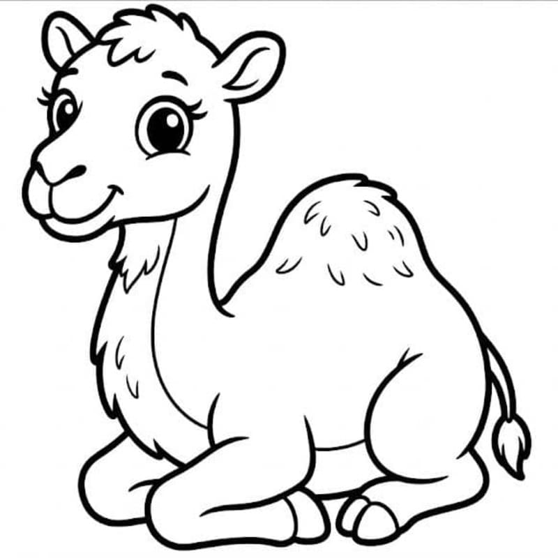 Drawing Baby Animal Camel