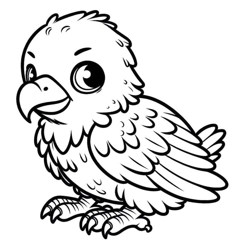 Drawing Baby Animal Eagle