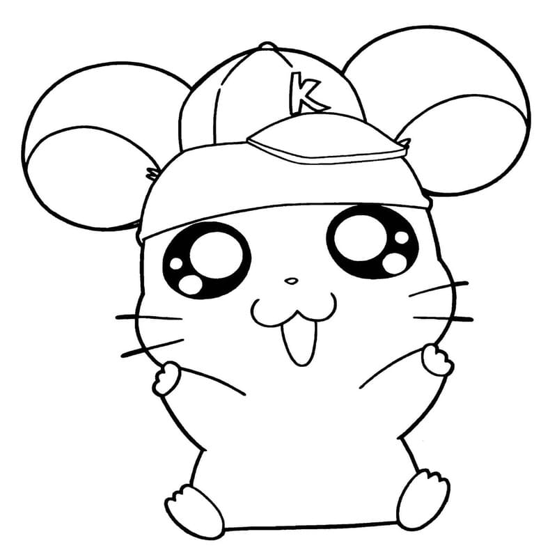Drawing Baby Animal Hamster