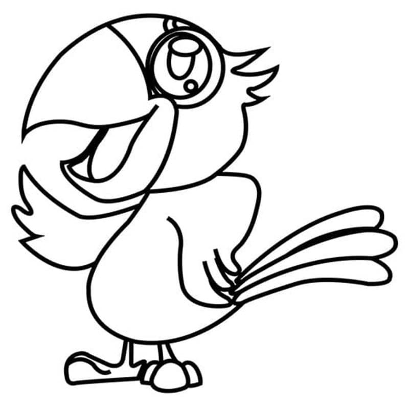 Drawing Baby Animal Parrot
