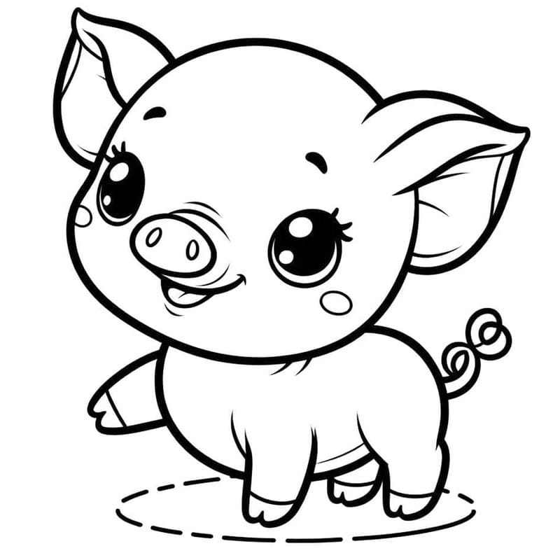 Drawing Baby Animal Pig