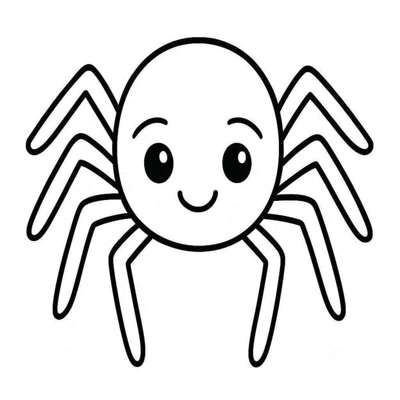 Drawing Baby Animal Spider