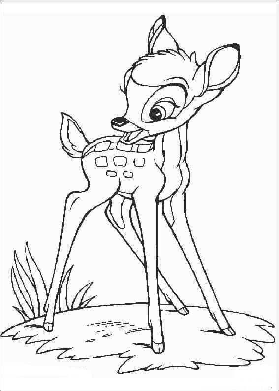 Drawing Bambi Basic
