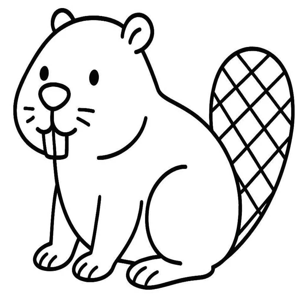 Drawing Beaver Basic