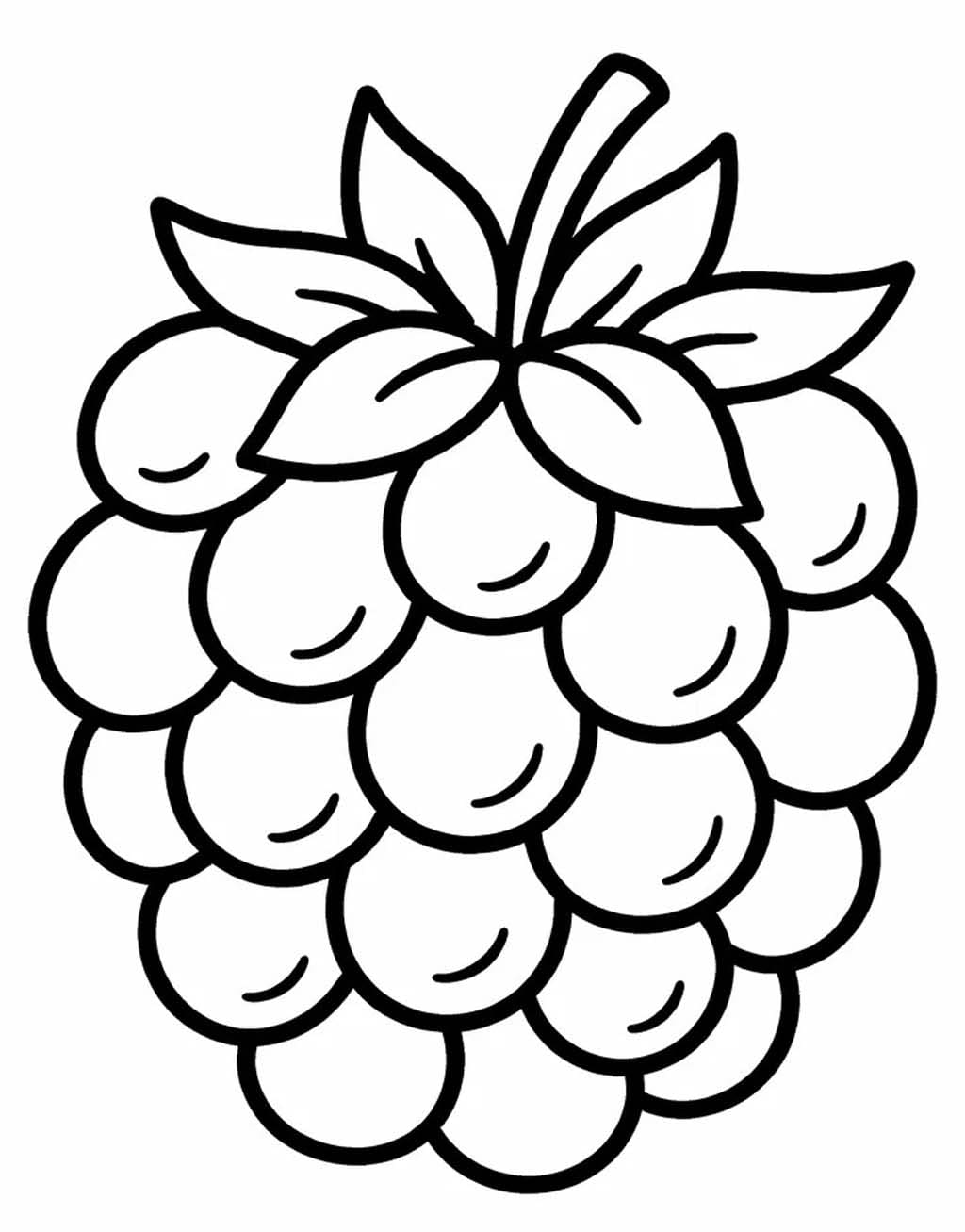 Drawing Blackberry Free Printable