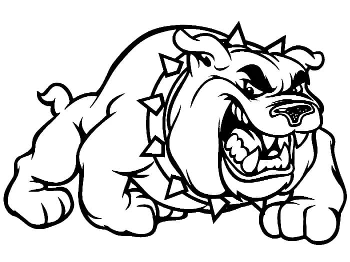 Drawing Bulldog Free Printable