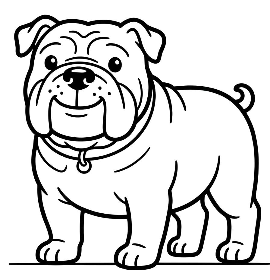 Drawing Bulldog Free