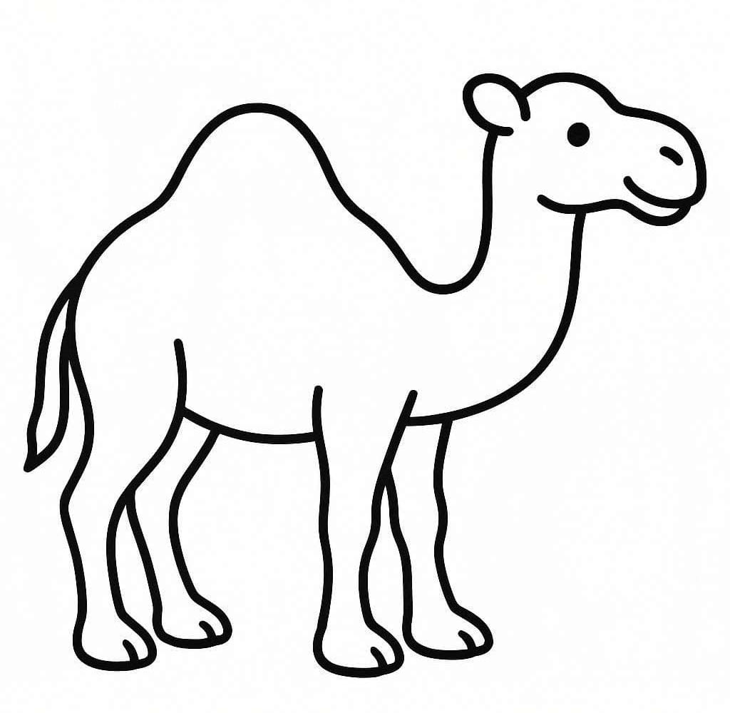 Drawing Camel Free Printable