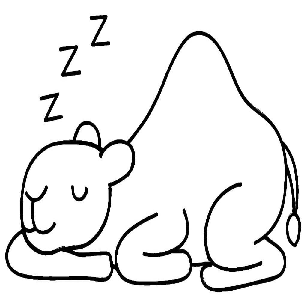 Drawing Camel Free