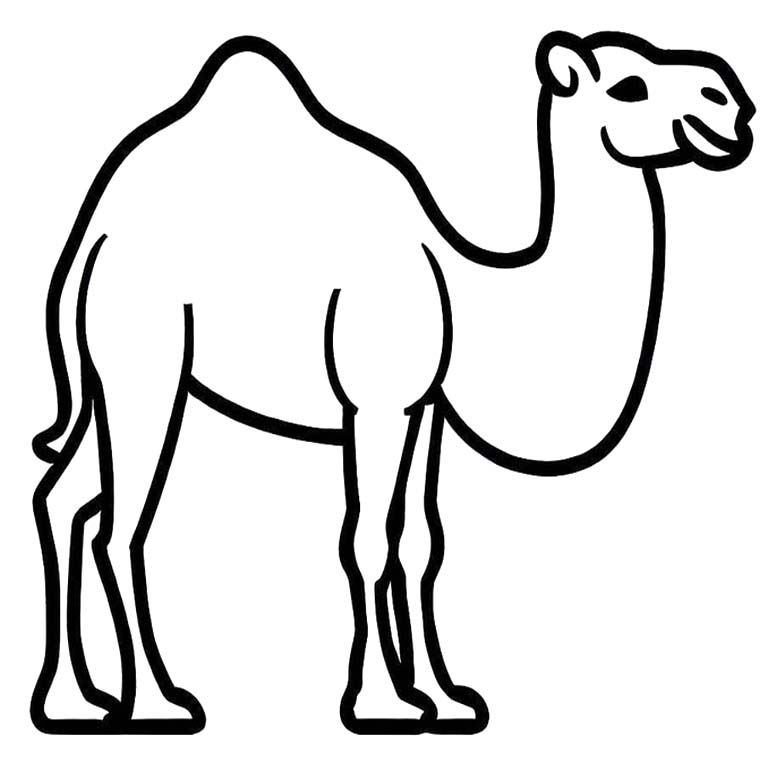 Drawing Camel Printable
