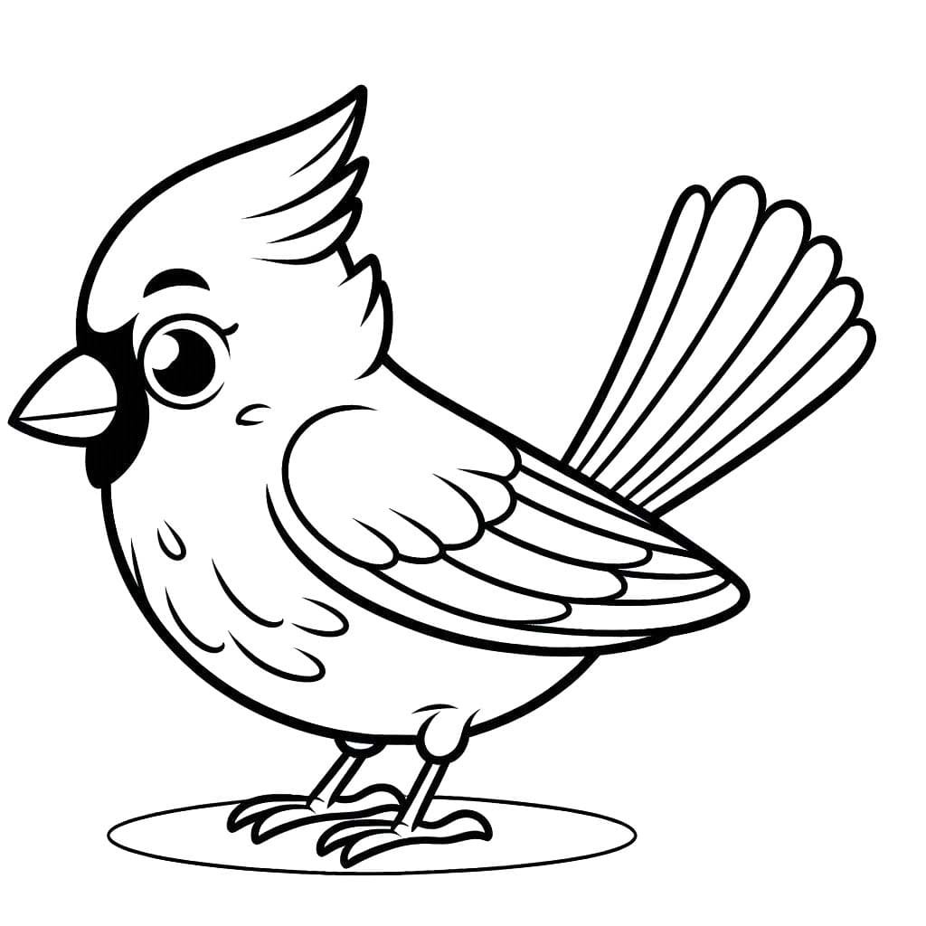 Drawing Cardinal Basic