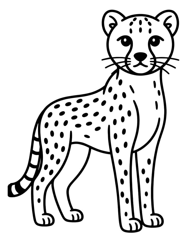 Drawing Cheetah Basic
