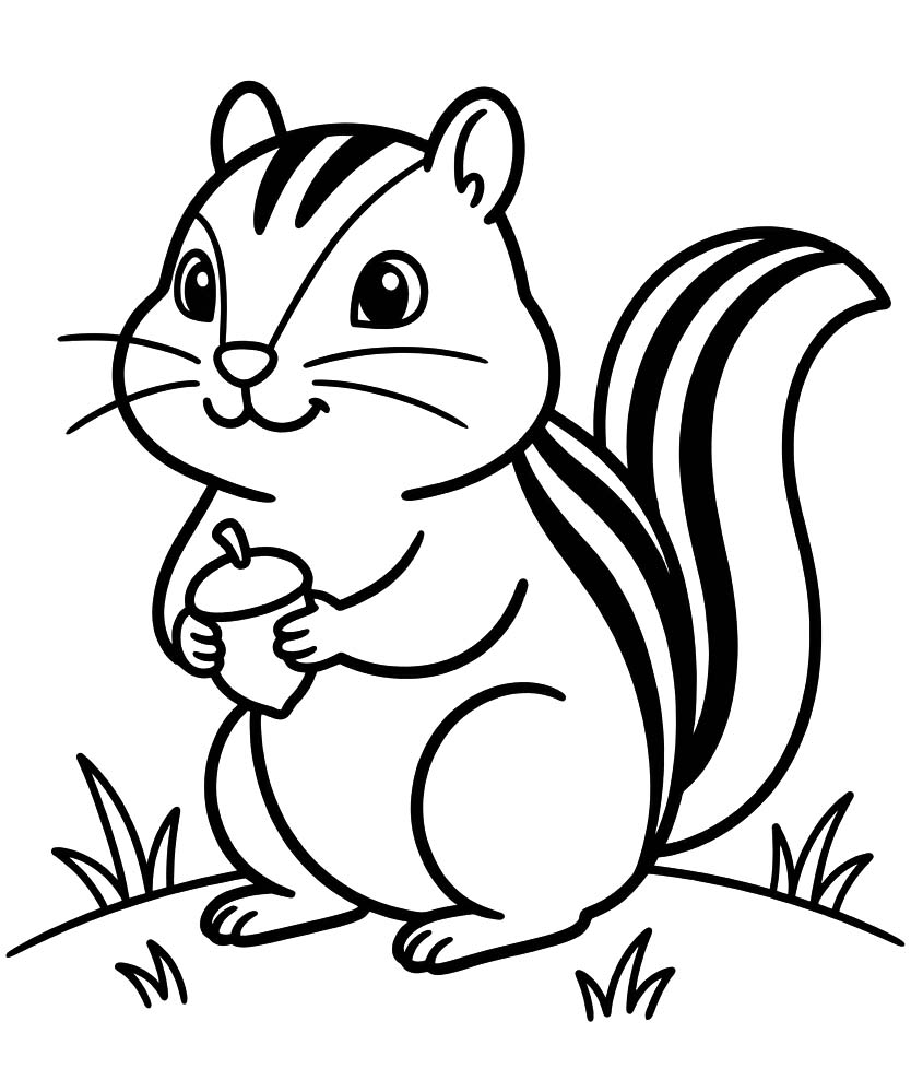Drawing Chipmunk Free Printable