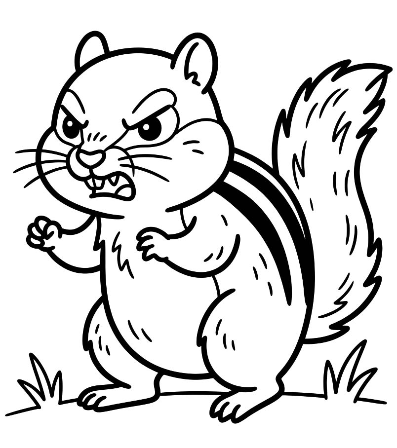 Drawing Chipmunk Free