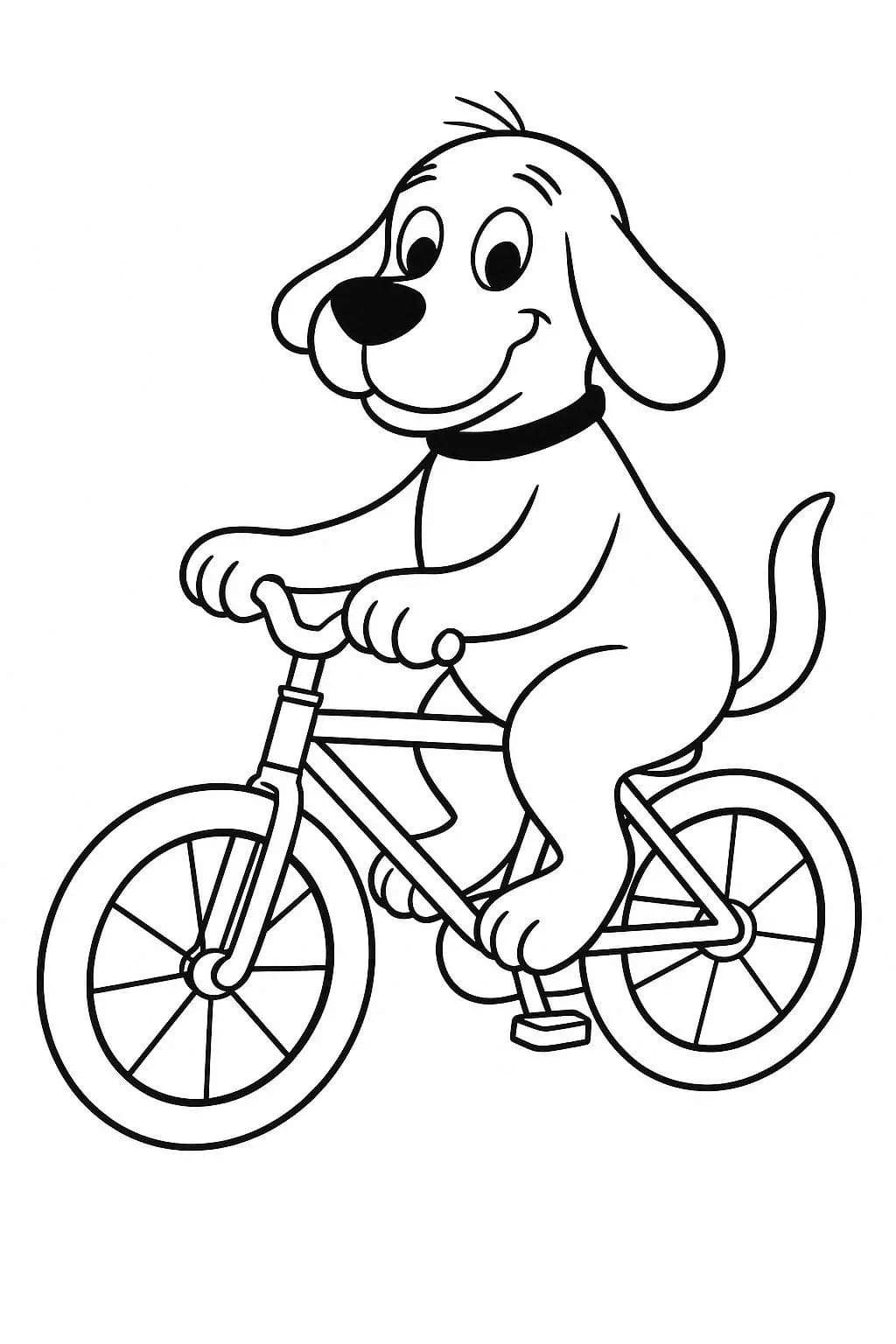 Drawing Clifford