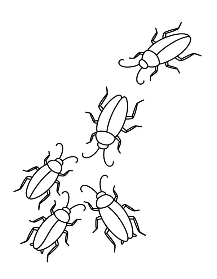 Drawing Cockroach Easy