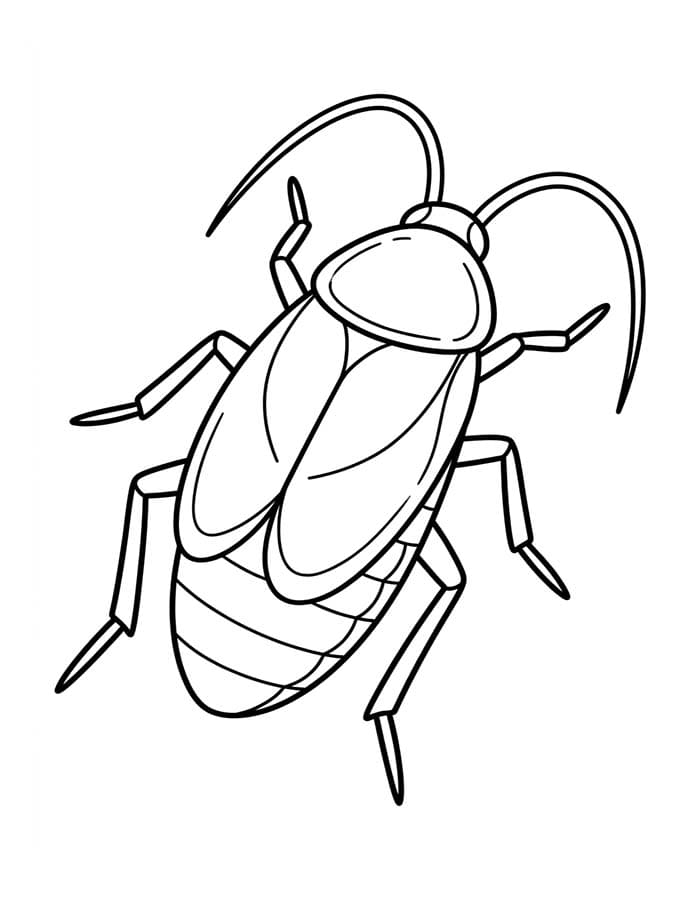 Drawing Cockroach Free Printable