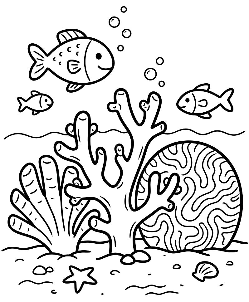 Drawing Coral Basic