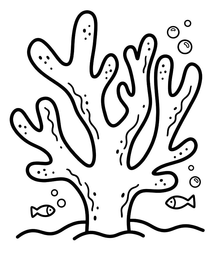 Drawing Coral Easy