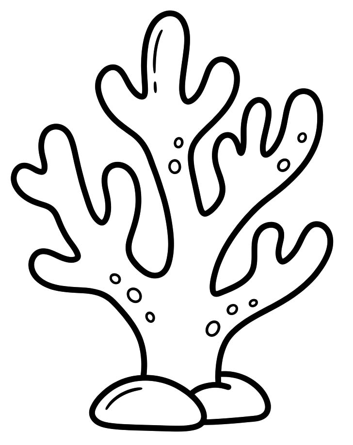 Drawing Coral Simple