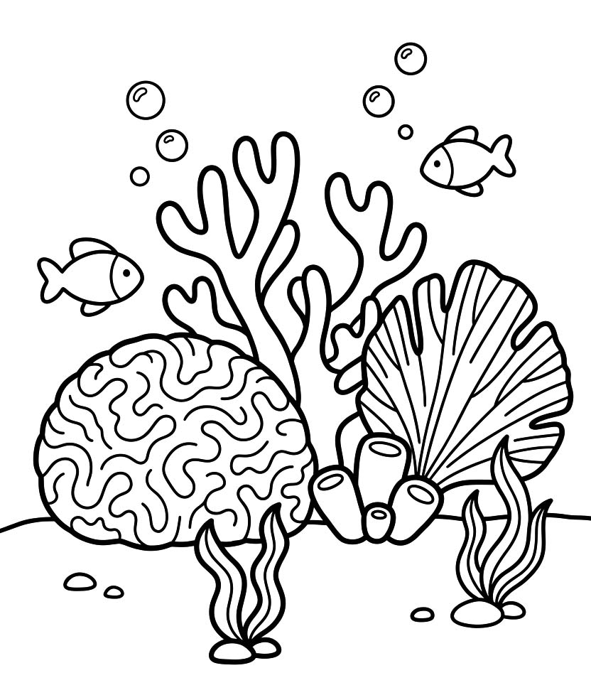 Drawing Coral