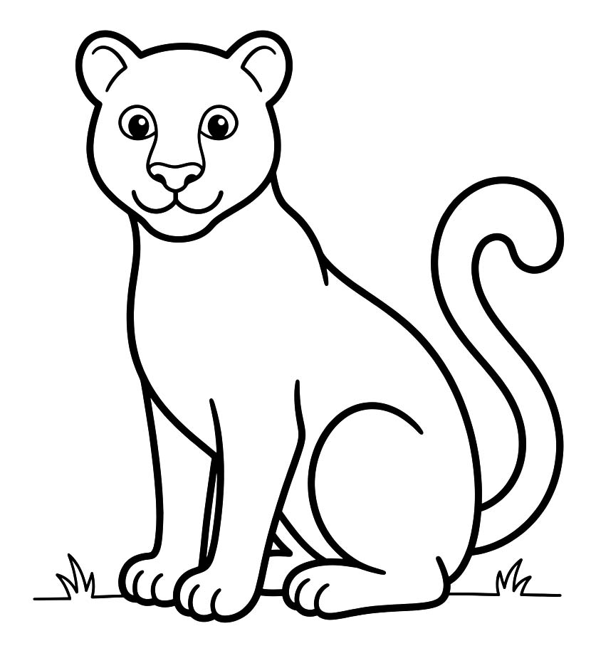 Drawing Cougar Easy
