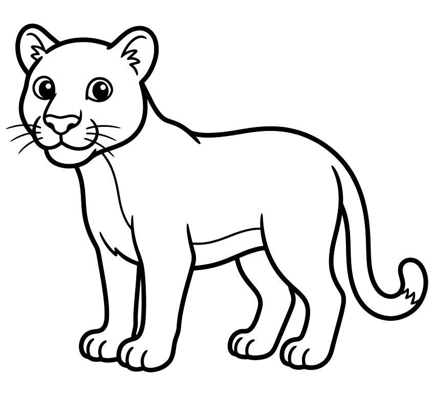 Drawing Cougar Free