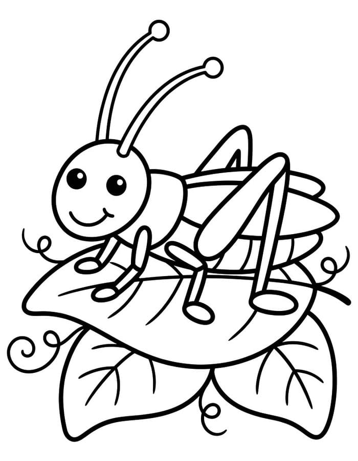 Drawing Cricket Easy
