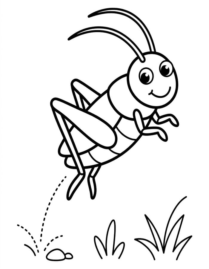 Drawing Cricket Free Printable