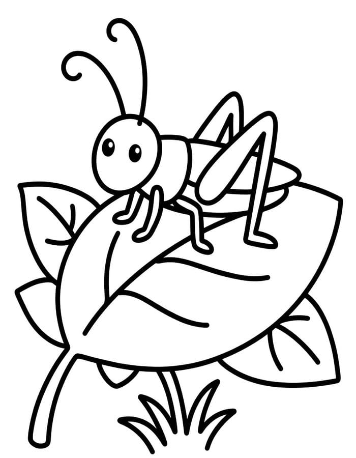 Drawing Cricket Free