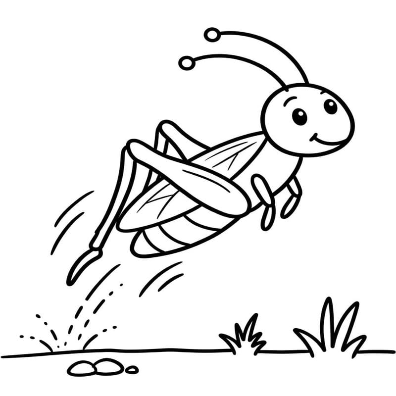 Drawing Cricket Printable