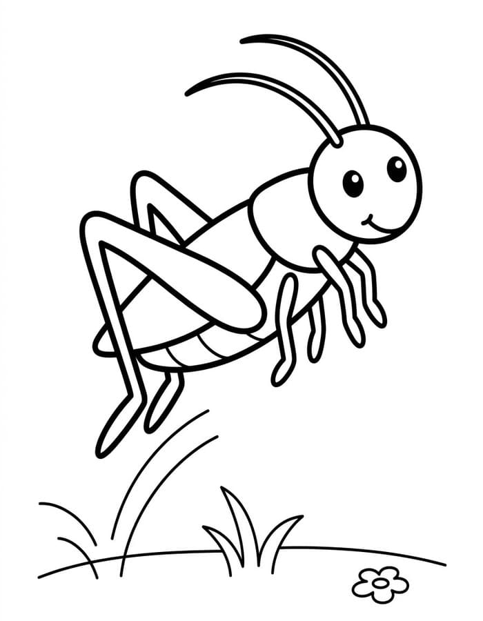 Drawing Cricket