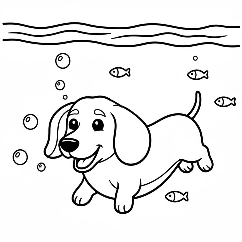 Drawing Dachshund Basic