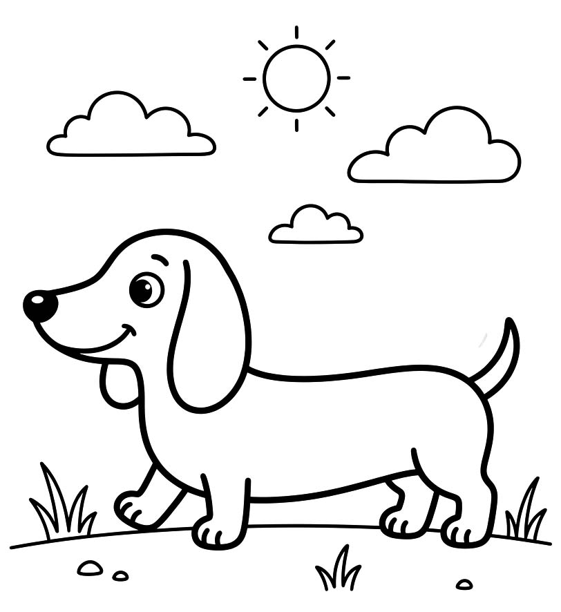 Drawing Dachshund Printable