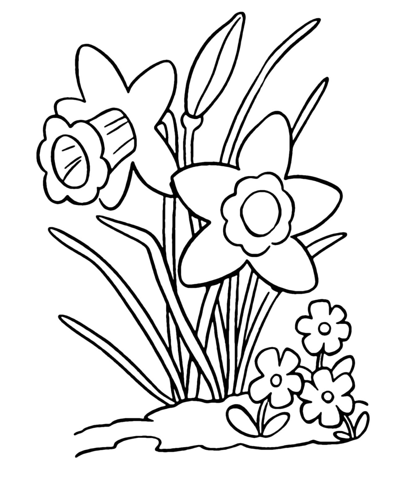 Drawing Daffodil Simple